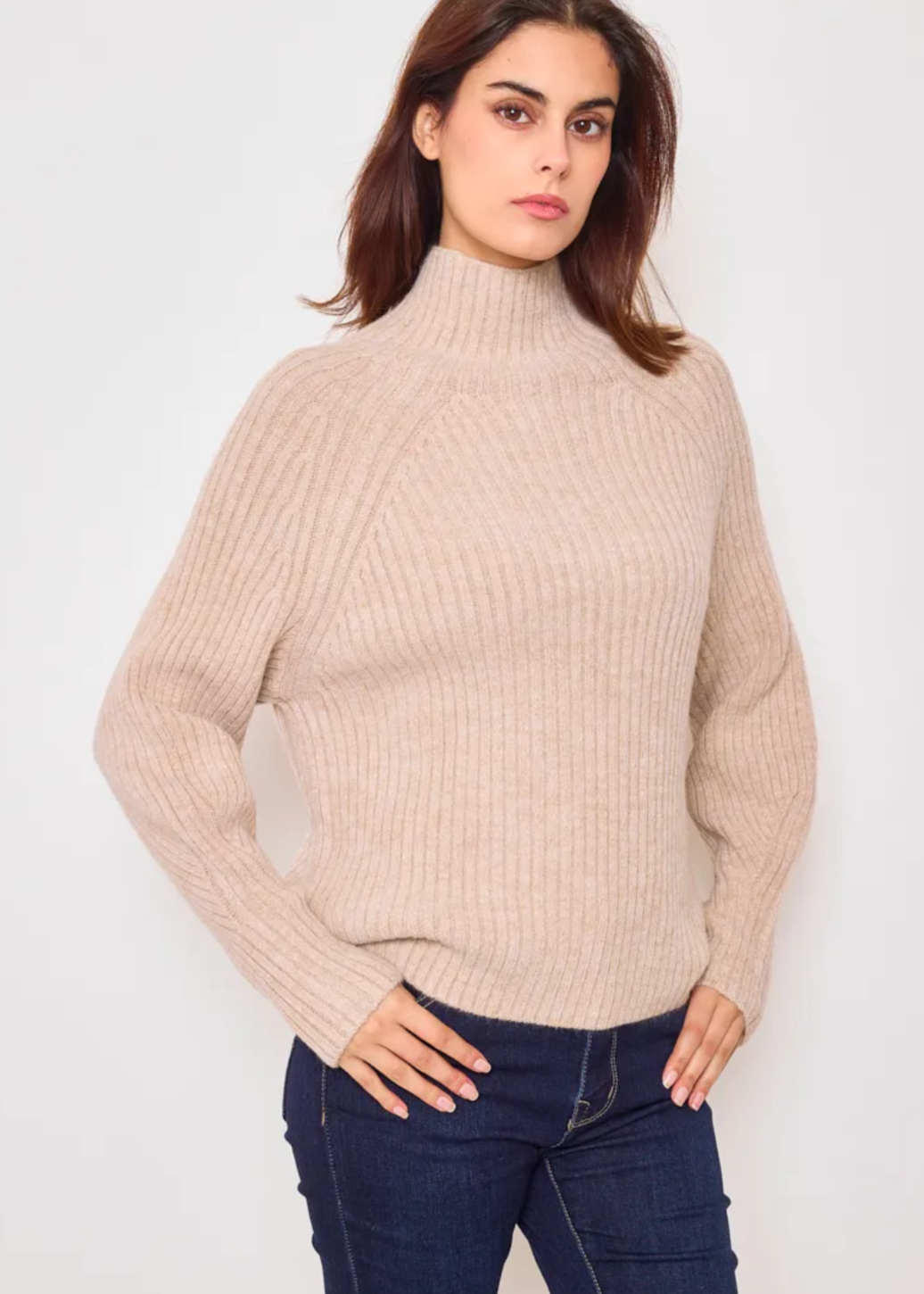 Pull classique en col cheminé