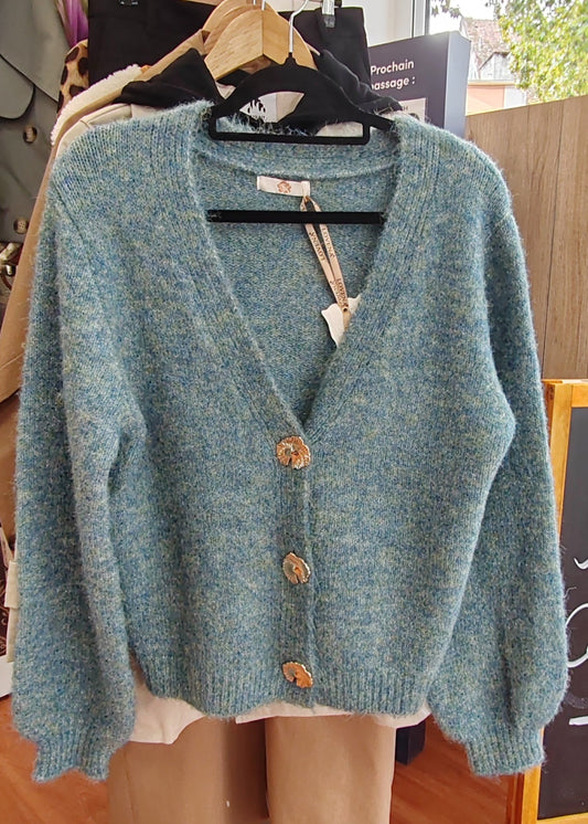 Cardigan gilet boutonné Bleu