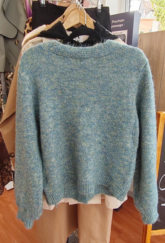 Cardigan gilet boutonné Bleu CARLAGIANINI